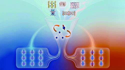南方科技大学供图