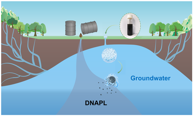 Dnapl 【专家视角】ES&T | 浙江大学林道辉团队:用于地下水氯代污染物靶向修复的DNAPL响应型纳米零价铁—智能水凝胶纳米反应器|纳米_新浪财经_新浪网