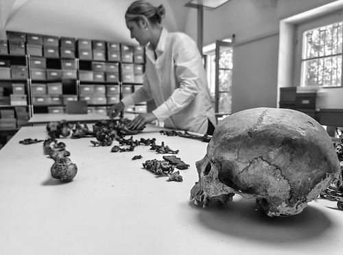 图片来源：德国美因茨大学