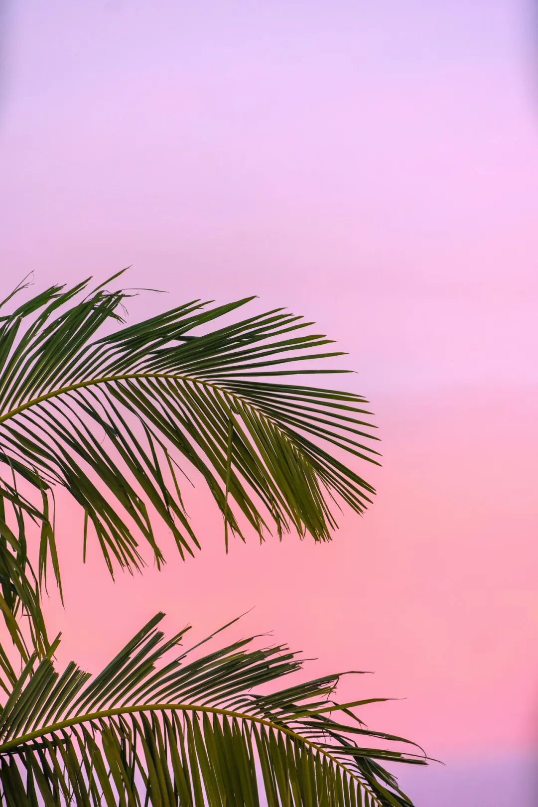 七言｜夏天，突如其来