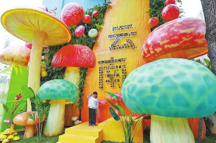 昆明野生菌美食文化特色街区开街，吸引市民游客前来打卡。记者 胡妤雅 摄