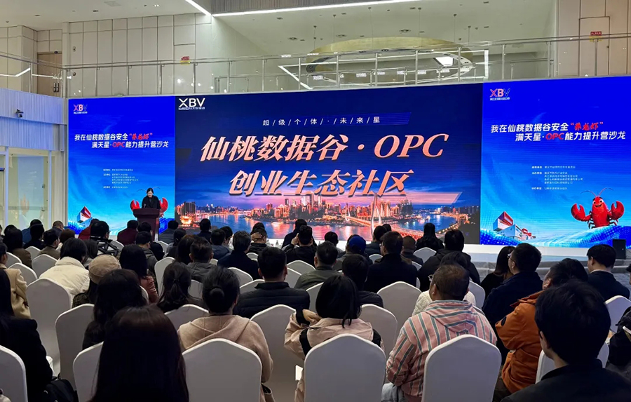 ���������������ٰ��OPC��������Ӫ����α�����AI��ҵʵ�����顣�»�����