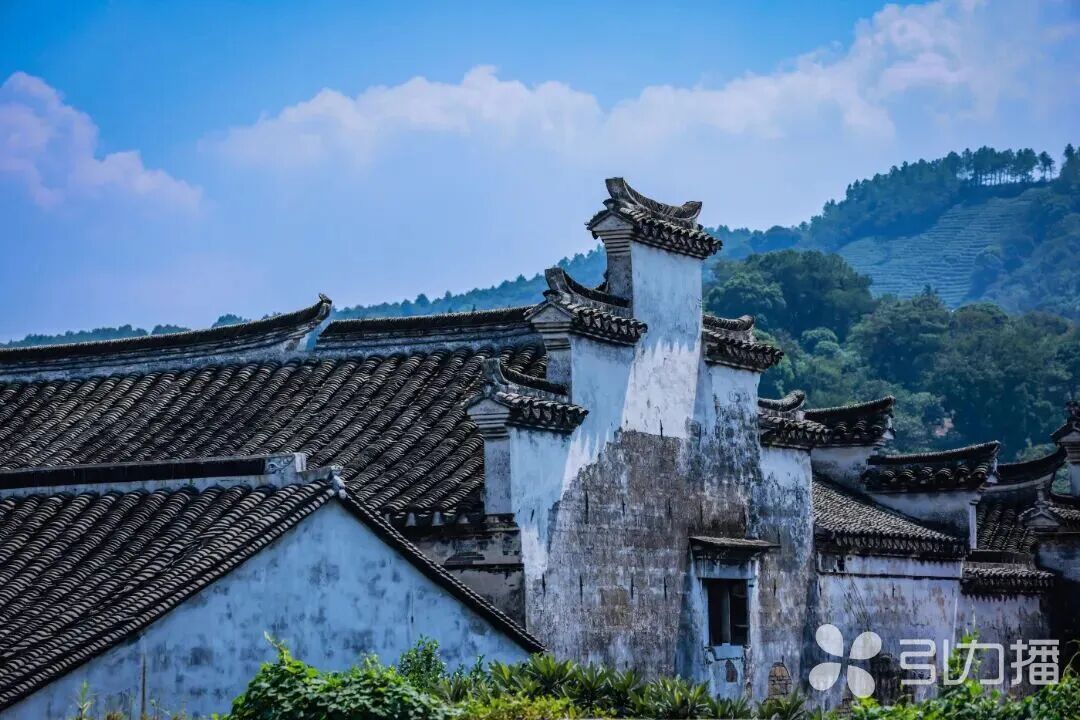 假期最后一天，躺“岛”做个水乡闲人|花海_新浪财经_新浪网