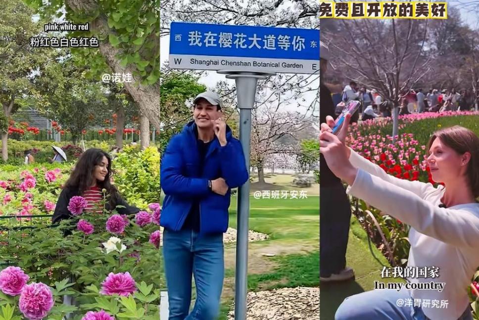 网络截图