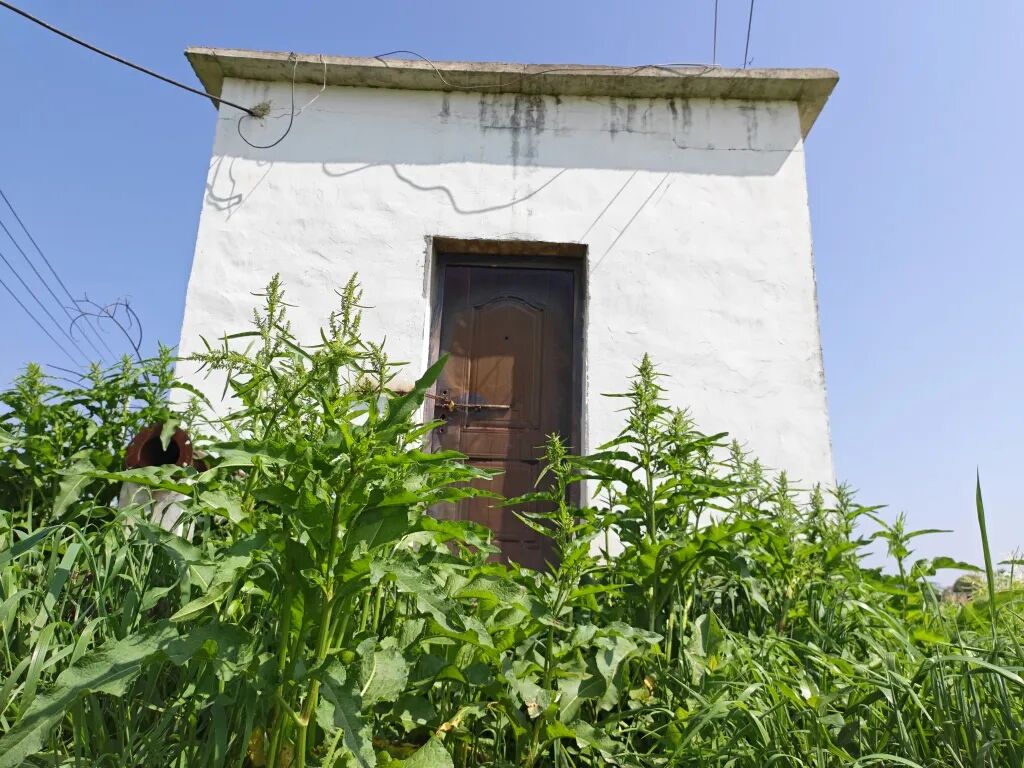 天堂村的一个提灌站被闲置，泵房门口杂草丛生。