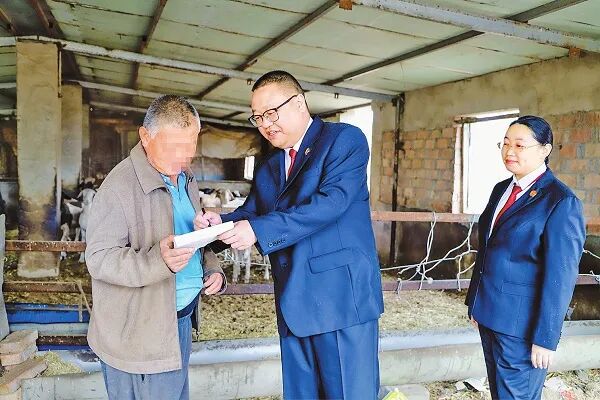 图为河北省武强县人民法院孙庄人民法庭法官刘大鹏（中）深入现场了解情况。马玉聪 摄