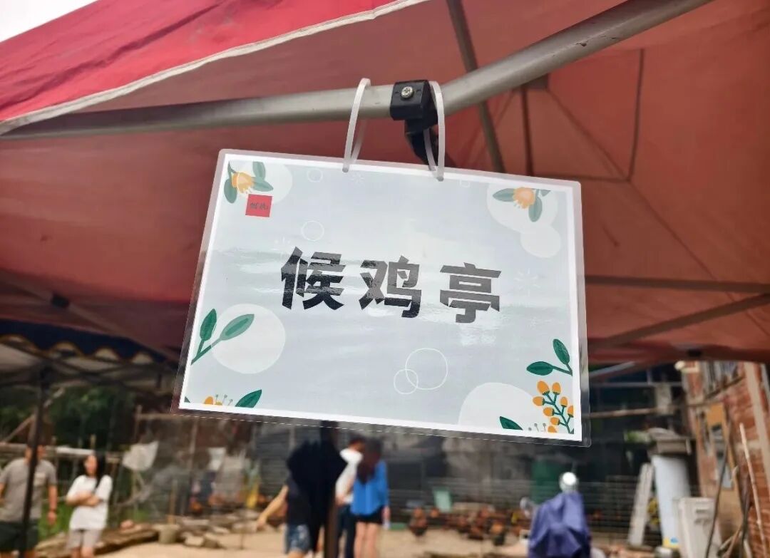 莫氏鸡煲