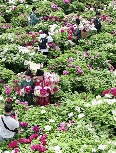 ▲@飞凡视角