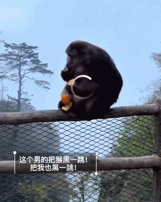 ▲ 视频截图
