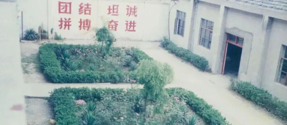 图源：星宇股份