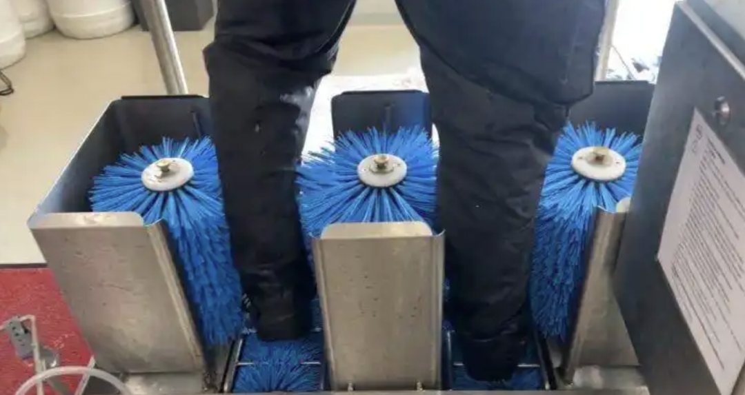图片来源：上观新闻