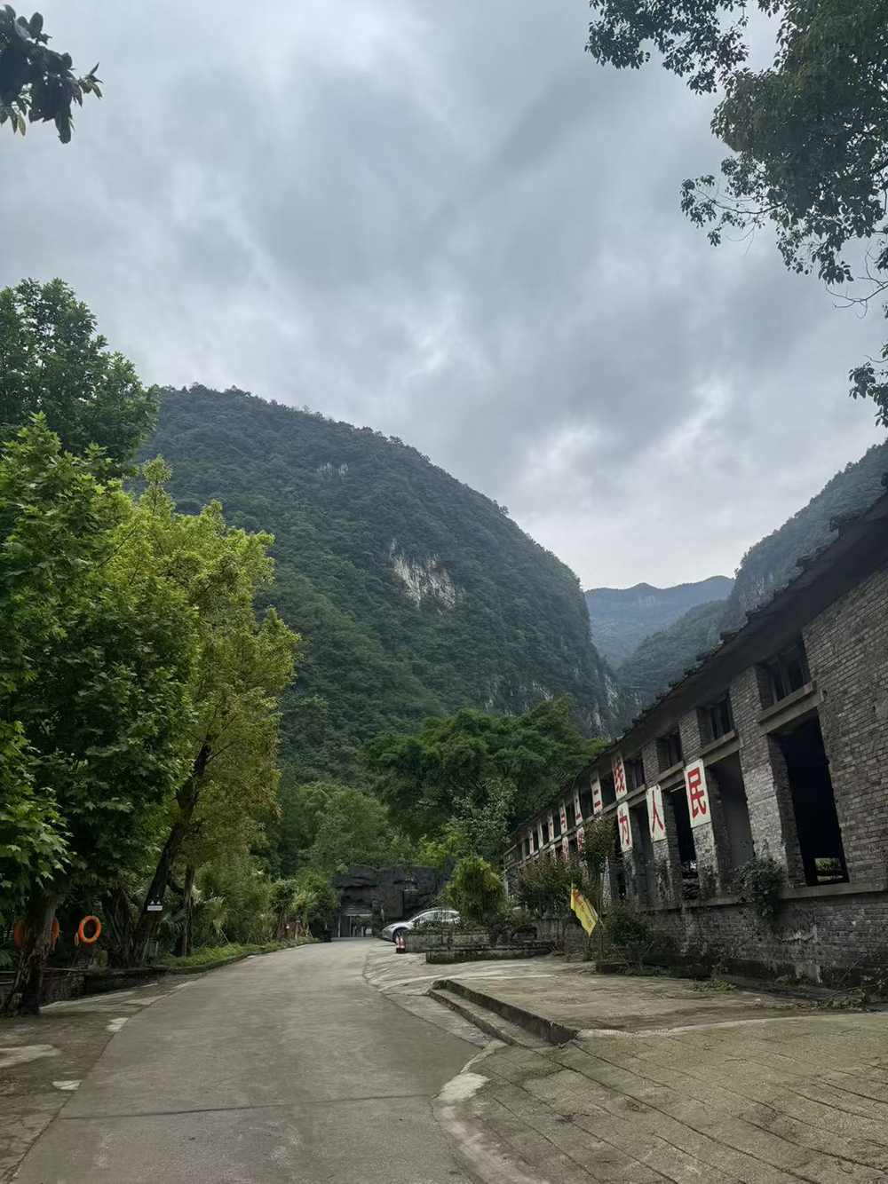 抖音业务24小时自助下单平台，秒到账服务，你体验过吗？