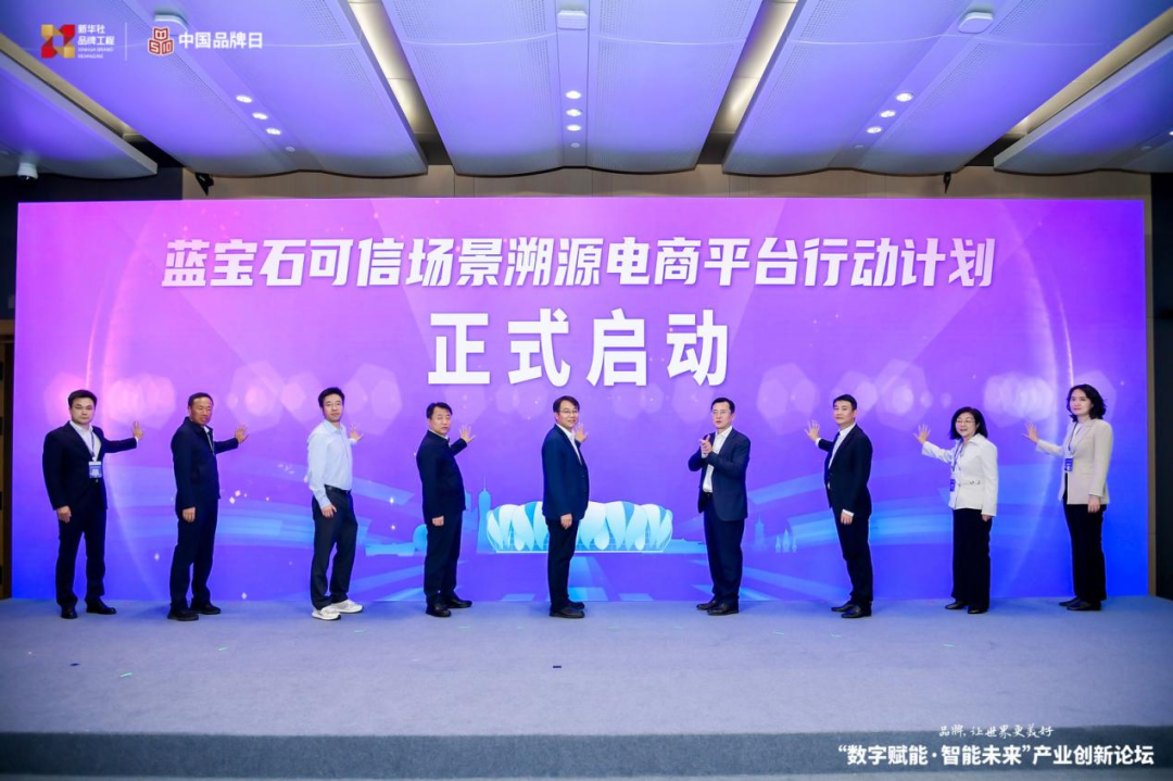 蓝宝石可信场景溯源电商平台行动计划正式启动
