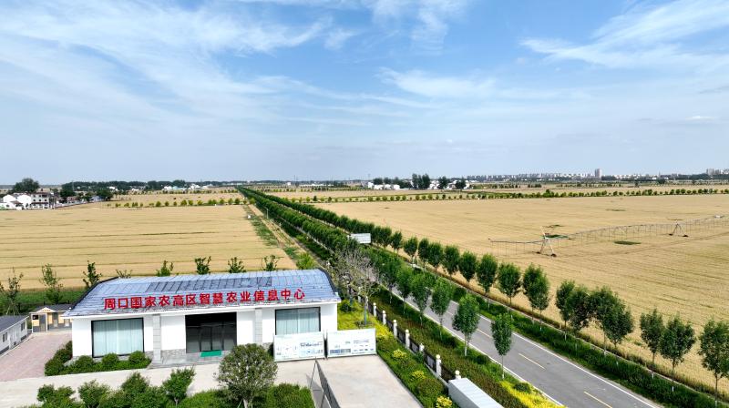 “三年升级包”正式上线，周口国家农高区要做全国示范生