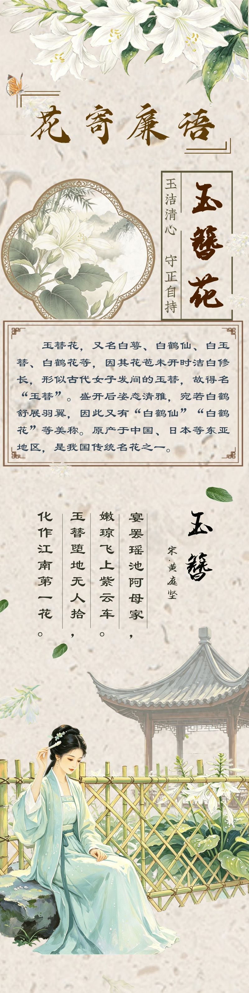 花寄廉语丨玉簪花：玉洁清心 守正自持