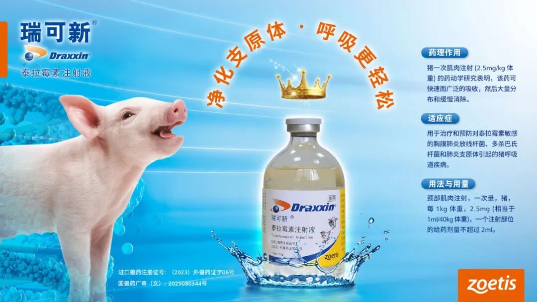 8头死猪炸出行业隐患_新浪财经_新浪网