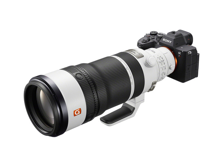 ILCE-7RM6+FE 100-400mm F4.5 GM OSS