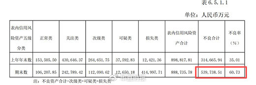 （截图来自2025年年报）