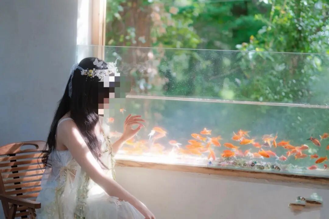 徐先生给“抱抱盲兔”拍摄的写真照片 受访者供图