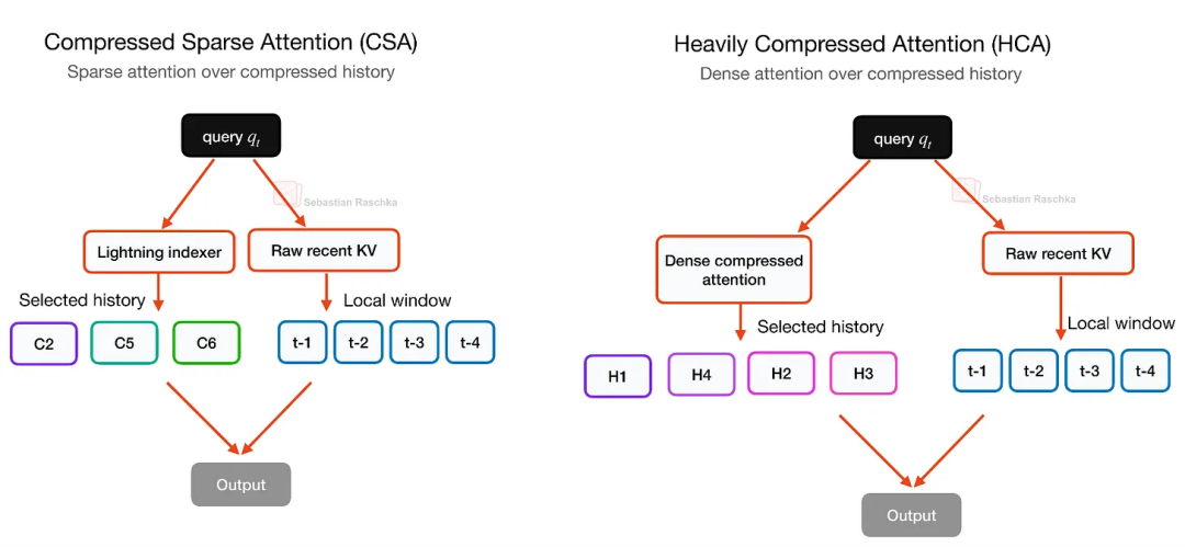 CSA 与 HCA 的对比。