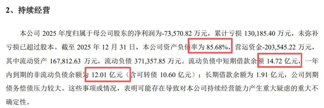 图源：龙大美食2025年财报