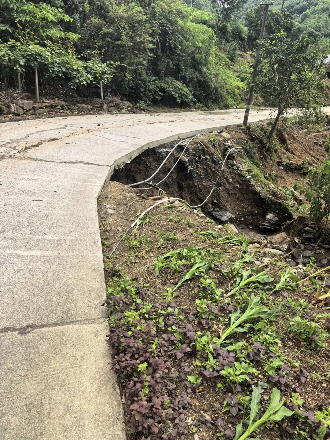 △杨家坪村多处道路受损