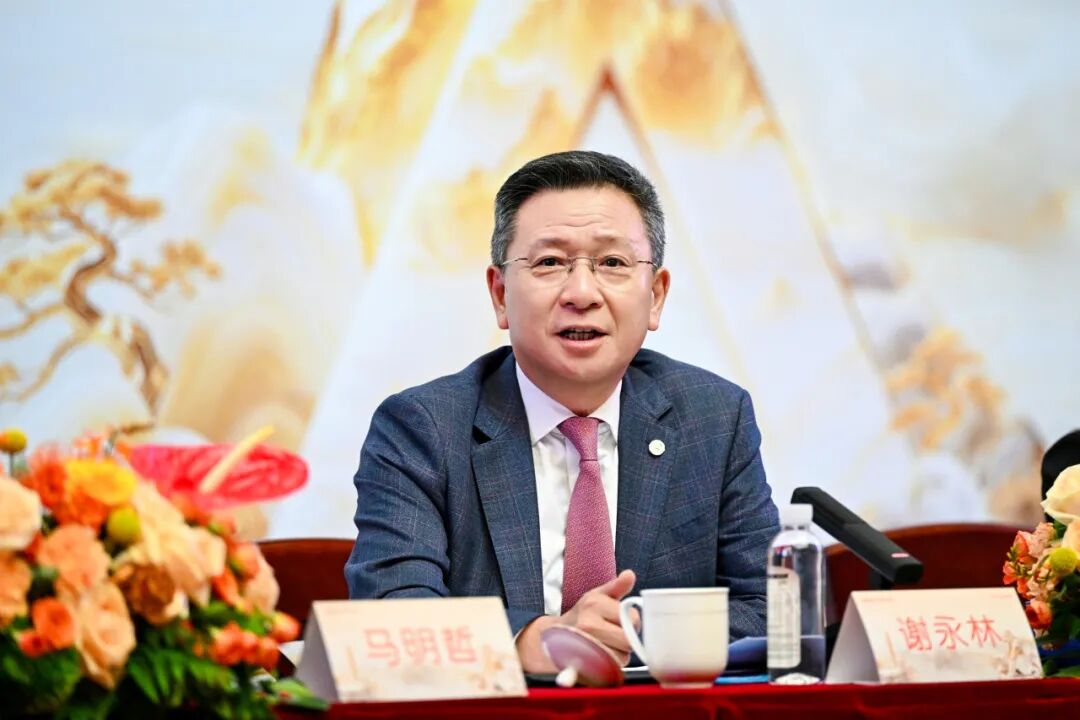 ▲平安集团总经理兼联席首席执行官 谢永林