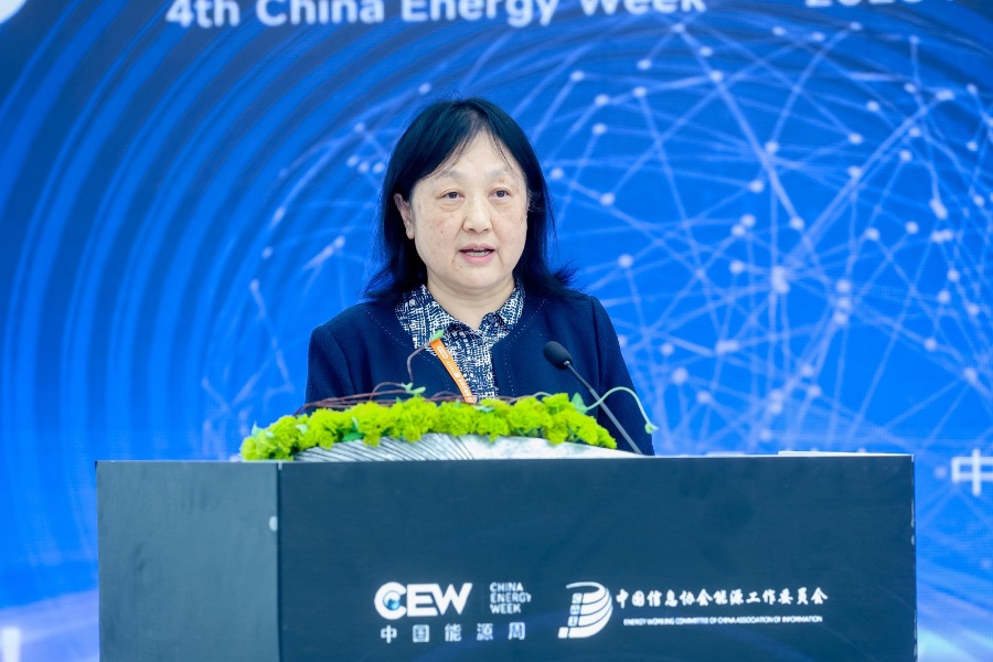 中国工程院院士、中国石化集团首席专家聂红（图源：官方供图）