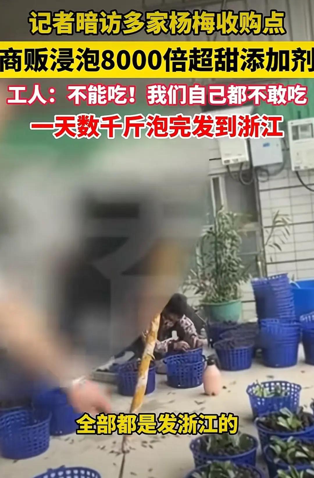 福建龙海问责23名党员干部：2人免职、13名党员干部分别党纪、政务立案处理，2名干部诫勉，6名干部通报批评
