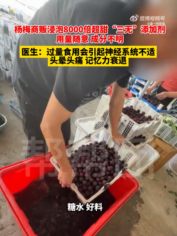 快评丨“泡药杨梅”事件问责23人，监管别给产业拖后腿