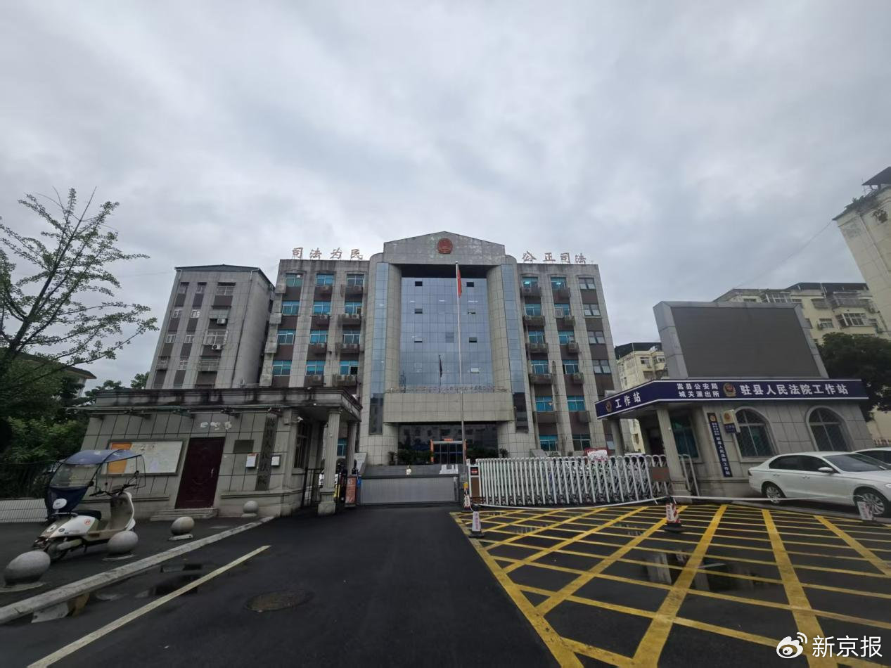 李某骗贷案及引发的多起金融借款合同纠纷案件均在嵩县法院审理。 受访者供图