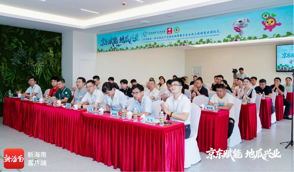 京东赋能・桥头地瓜产业基地授牌暨全网上线销售启动仪式现场。承办方供图