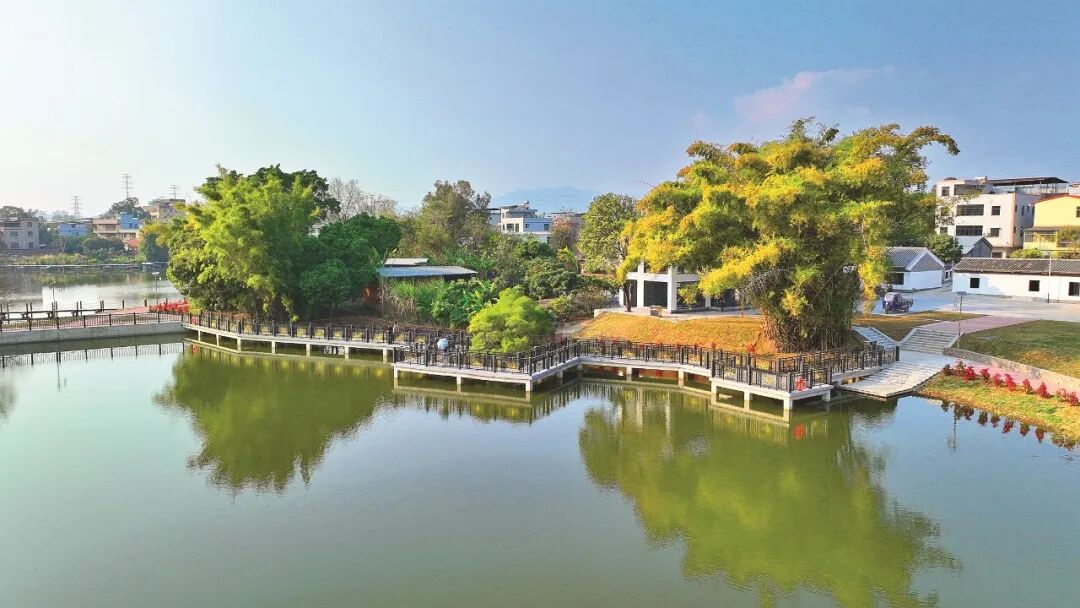 惠城区汝湖镇新光村。