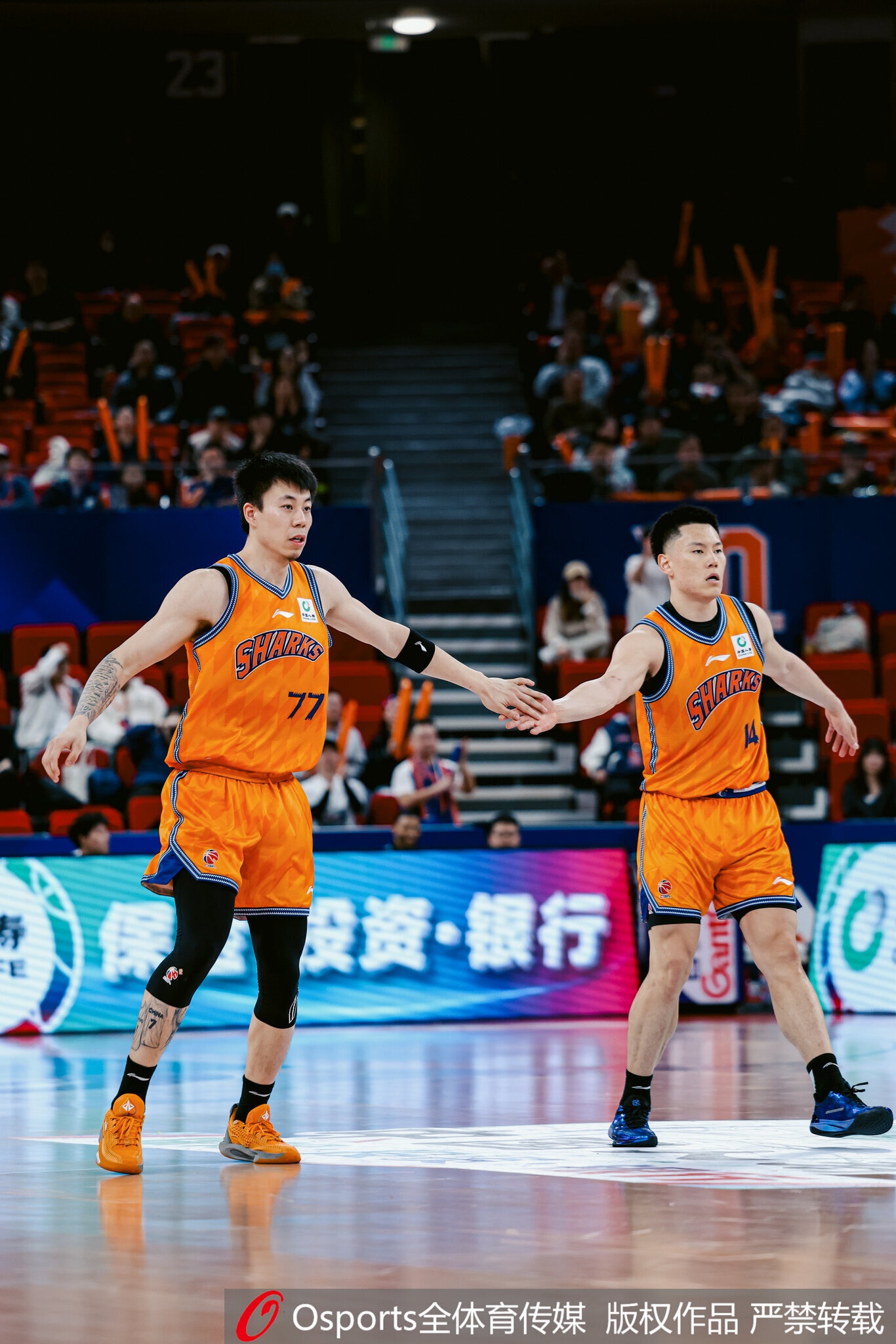 体坛周报：总决赛33分惨案背后，是国内球员发挥云泥之别