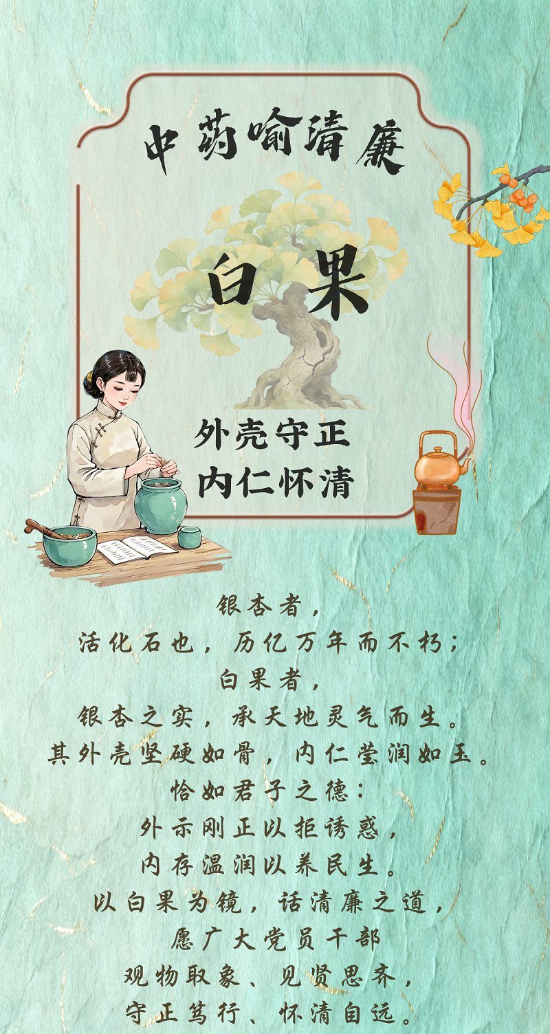 中药喻清廉丨白果：外壳守正 内仁怀清