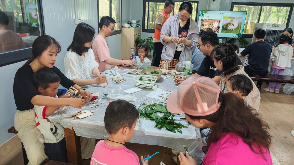 5月23日,亲子家庭正在制作简易缫丝机。新华社记者 陈爱平 摄