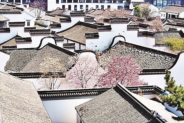 　　江苏常州天宁区前后北岸历史文化街区景色。新华社发