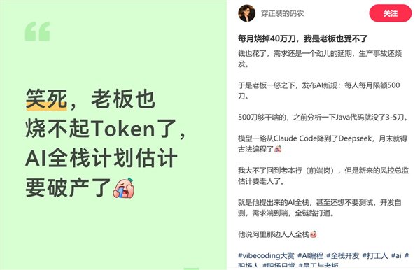 程序员爆料：Token烧到扛不住 公司全栈AI项目半路夭折