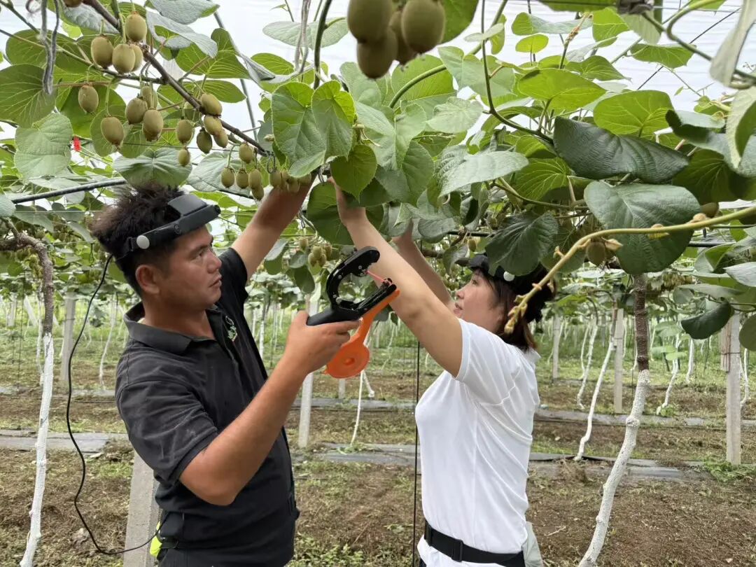 (来源:京东黑板报)