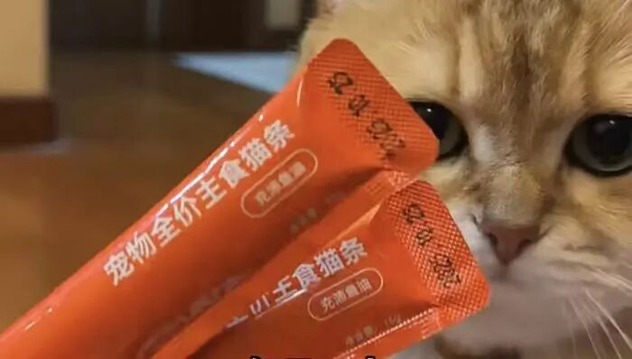 万物一口回应猫条检出三聚氰胺传闻：送检全批次未检出，承诺所有产品在生产环节均未添加三聚氰胺