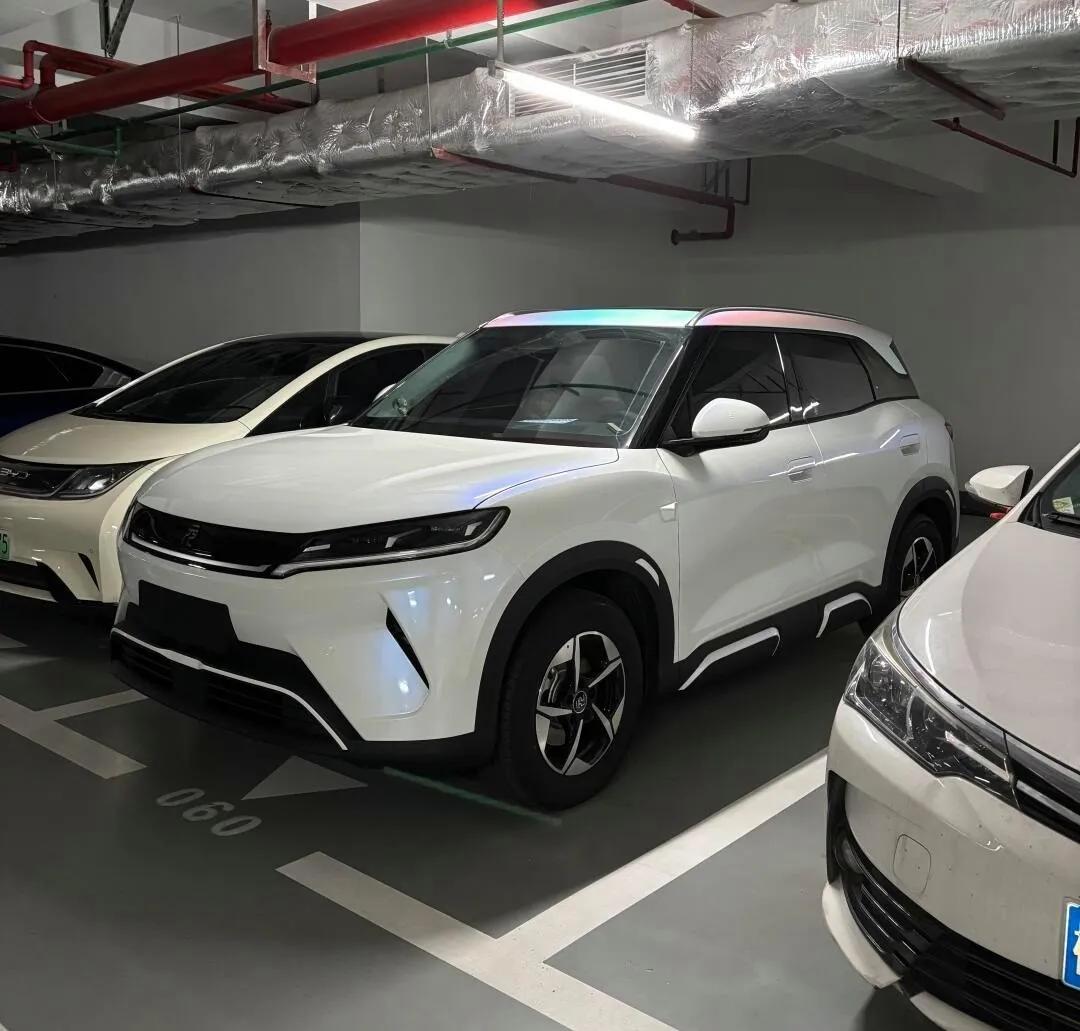 ▲图丨用这个充当“买菜车”和油车比使用成本，确实有点拳打南山敬老院的味道了……