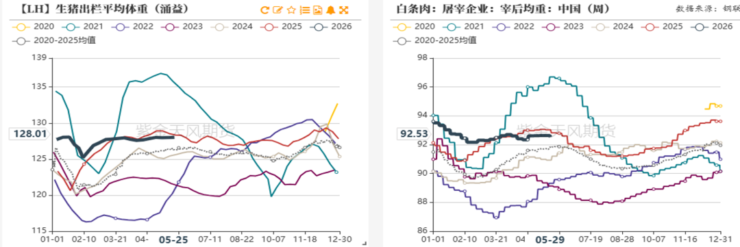 数据来源：紫金天风期货研究所