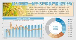 《加快农业农村现代化“十五五”规划》出炉 到2030年粮食产能1.45万亿斤左右