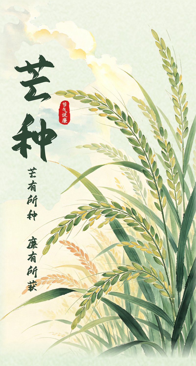 节气说廉丨芒种：芒有所种 廉有所获