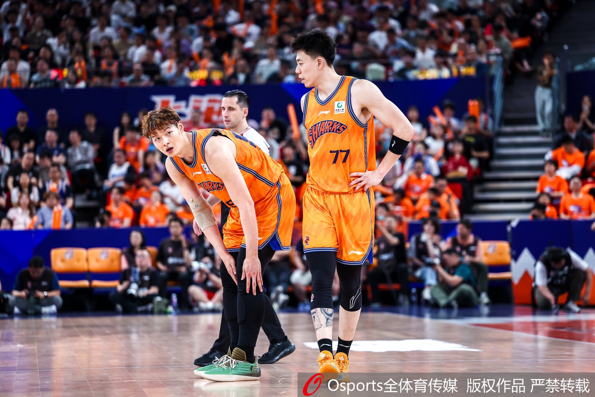 热度很高！“上海男篮CBA总冠军”词条登上微博热搜