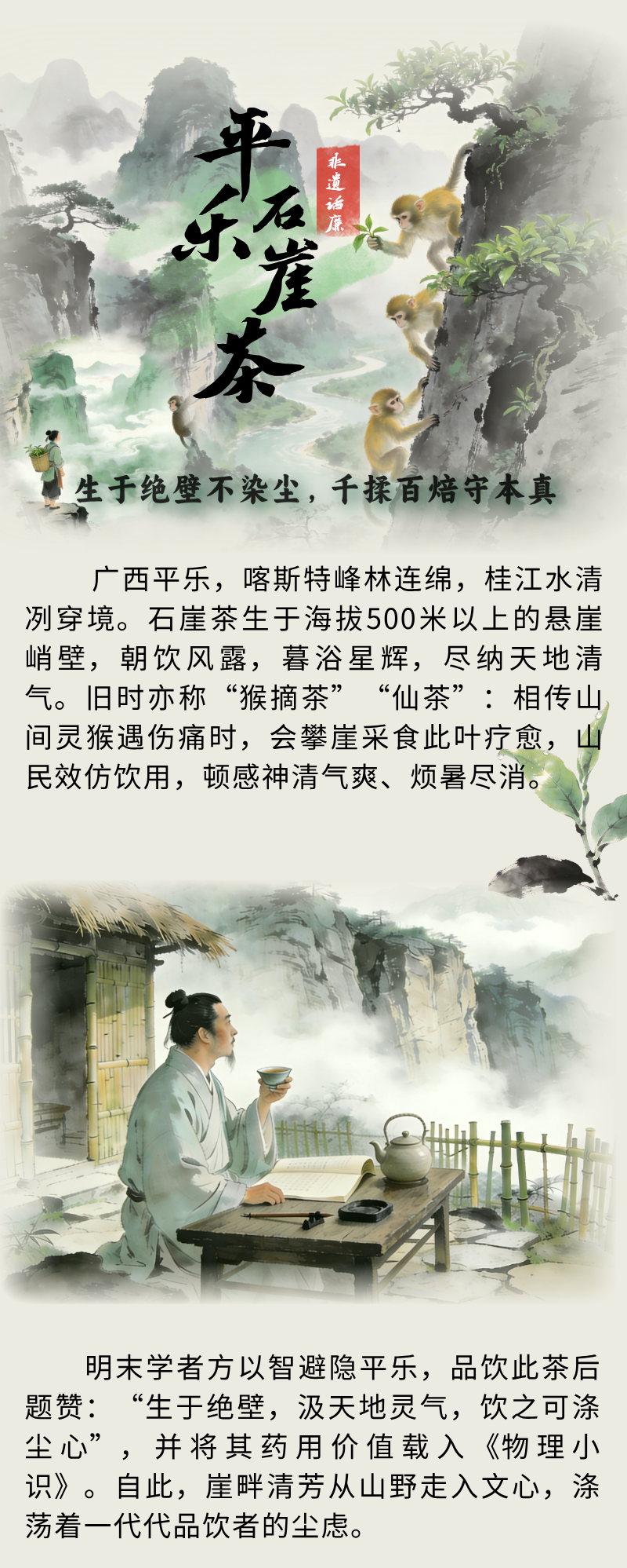 非遗话廉丨平乐石崖茶：生于绝壁不染尘 千揉百焙守本真