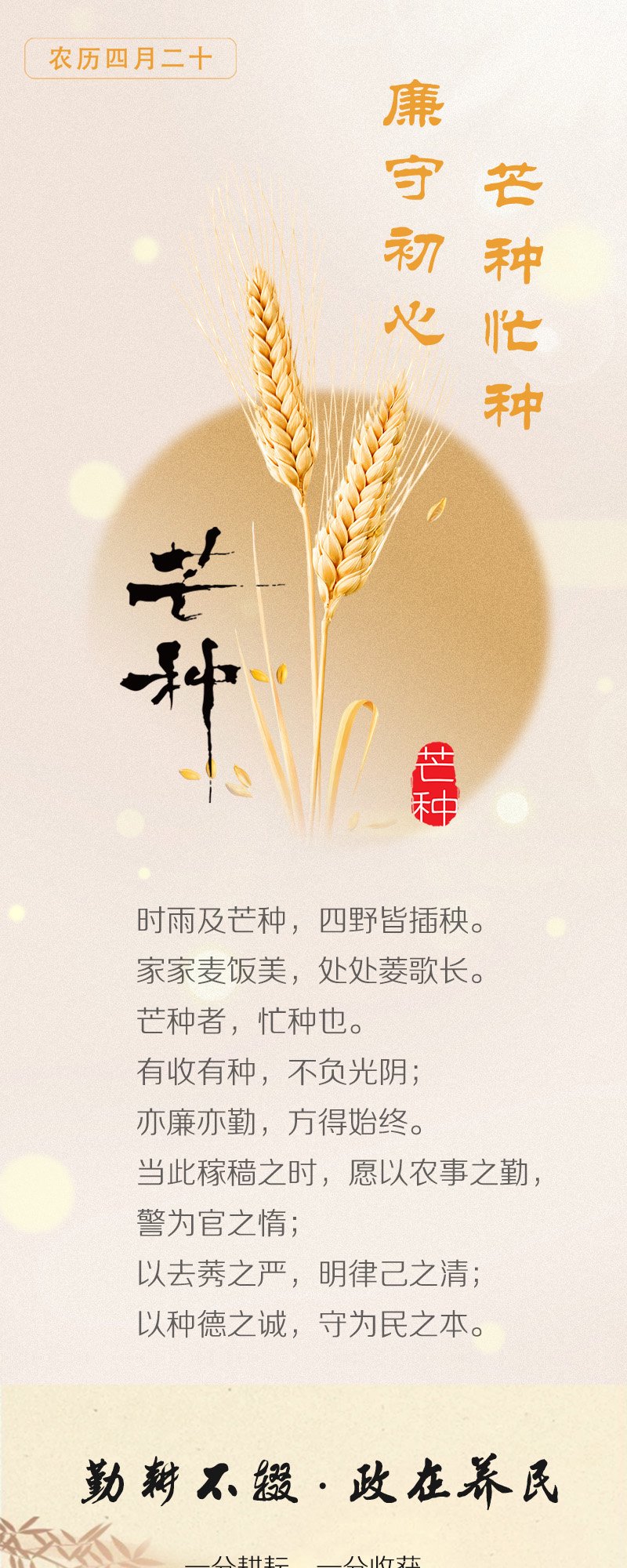 长图丨芒种忙种 廉守初心