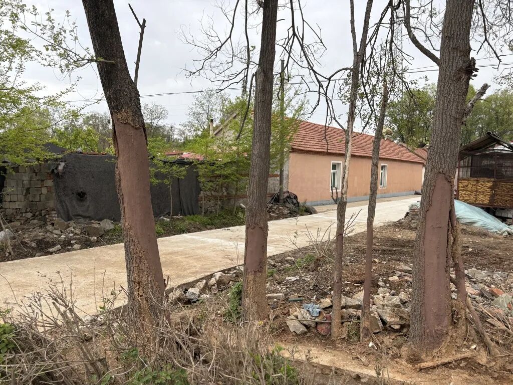 凌晨出发摘蓝莓：6座车塞进21名女工，司机超速侧翻致8死