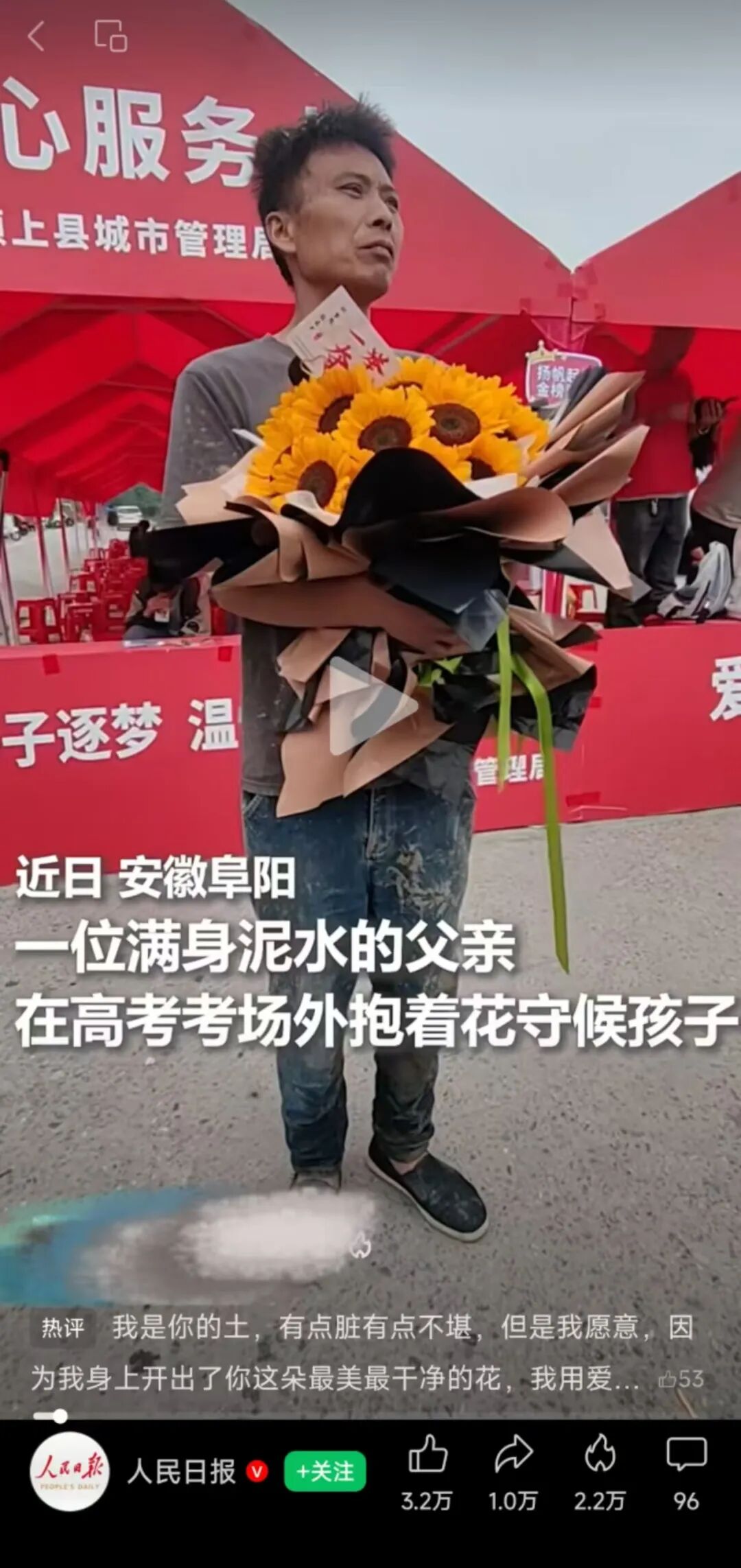自然的父爱，看哭了向日葵……