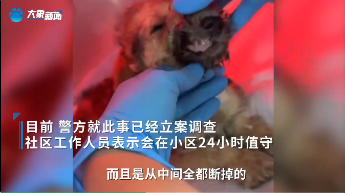 来源：大象新闻